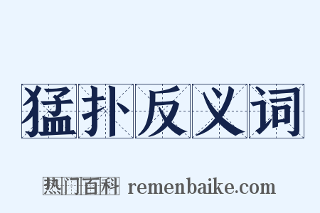 猛扑反义词是什么意思的图片